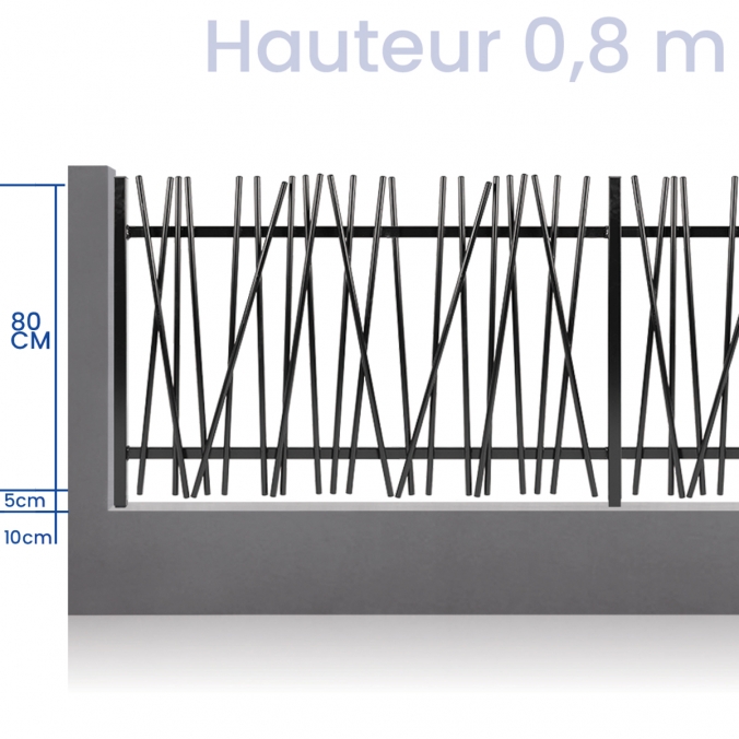 Balme1 - Clôture...